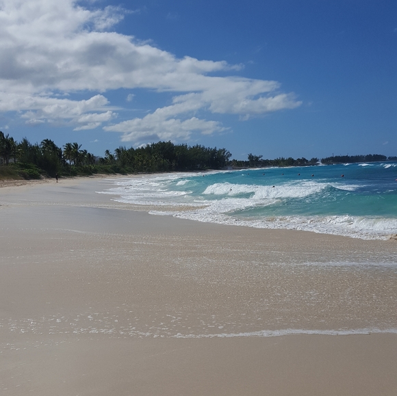 Love the Beach! 🏖 Thank you for shopping my closet! - Picture 4 of 6